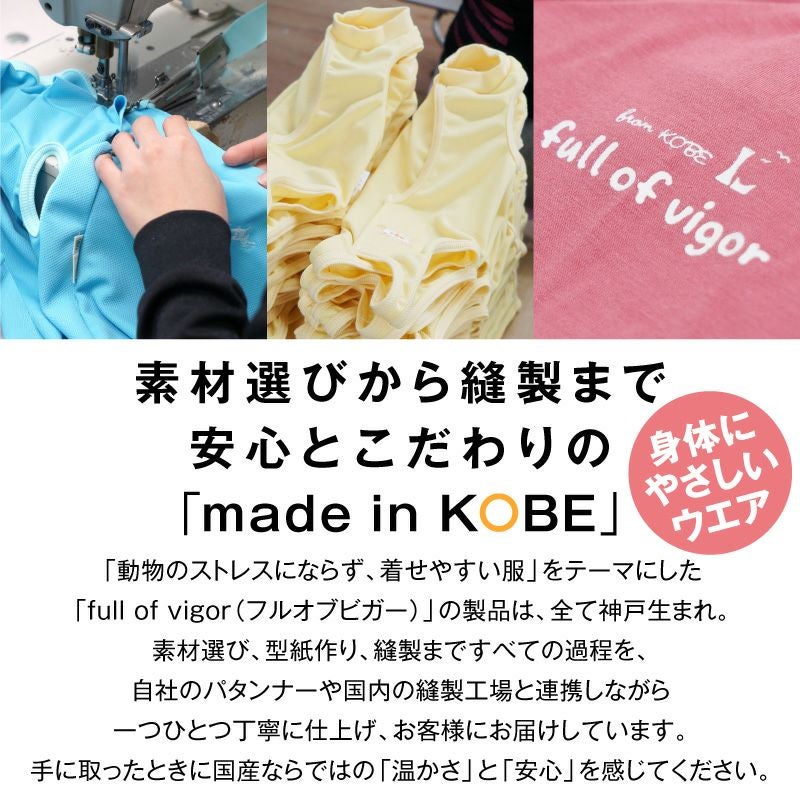 テレコボーダーラグランTシャツ(ダックス・小型犬用)