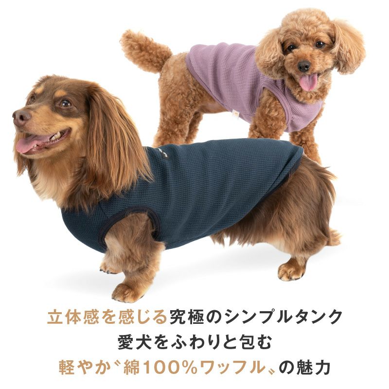 ワッフル タンク ダックス 小型犬用 | ダックス、猫 、小型犬、中型犬