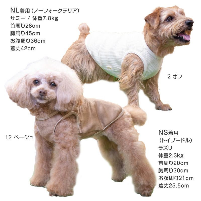 ワッフル タンク ダックス 小型犬用 | ダックス、猫 、小型犬、中型犬