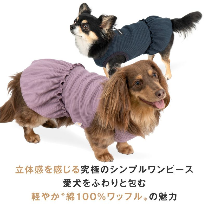 ワッフル ワンピース ダックス 小型犬用 | ダックス、猫 、小型犬