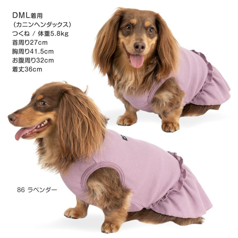 ワッフル ワンピース ダックス 小型犬用 | ダックス、猫 、小型犬