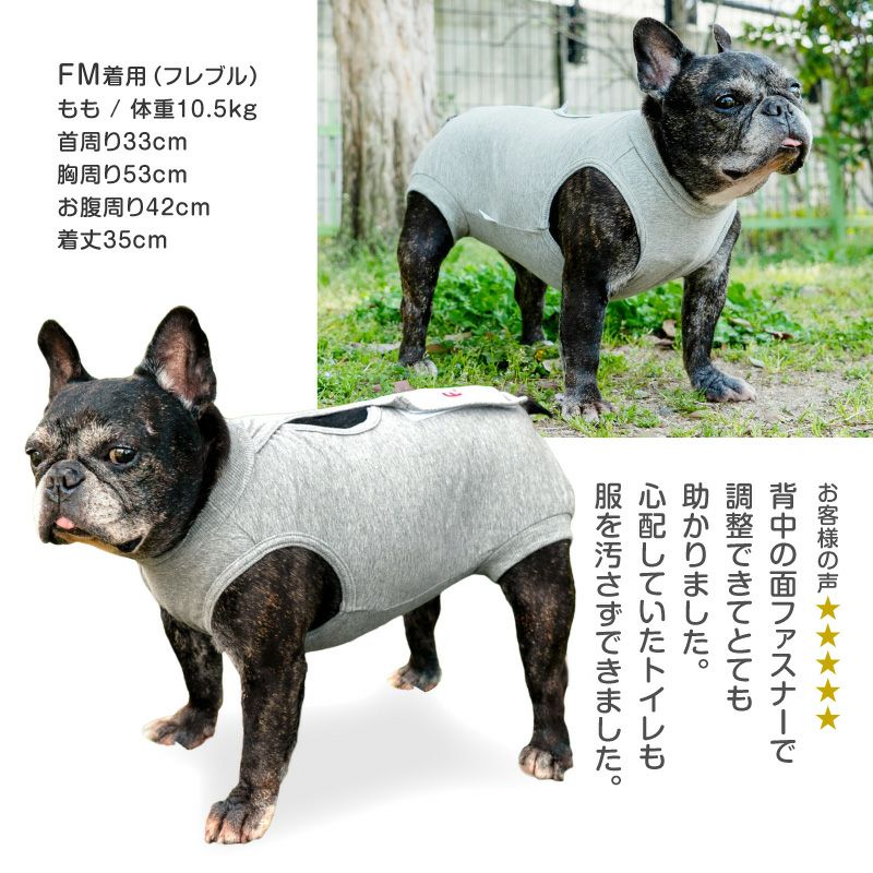 F.ベア天竺術後服エリザベスウエア(R)(女の子/フレブル用/伸縮性素材)