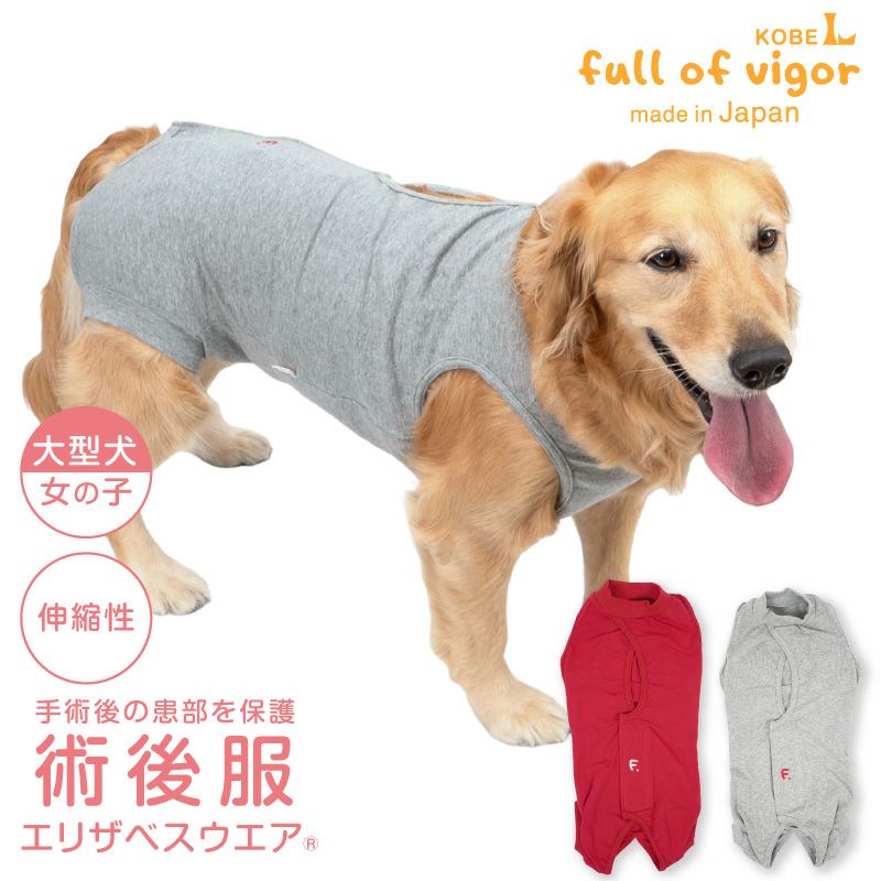 大型犬用 伸びて 着せやすい F. ベア天竺 術後服 エリザベスウエア(R