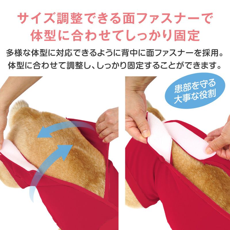 F.ベア天竺術後服エリザベスウエア(R)(女の子/大型犬用/伸縮性素材)