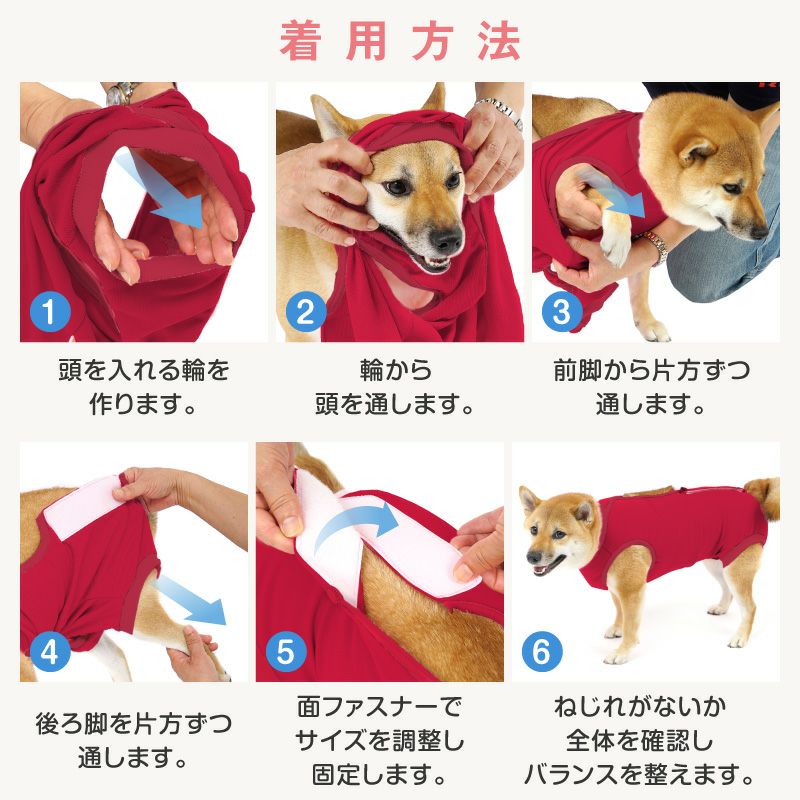 大型犬用 伸びて 着せやすい F. ベア天竺 術後服 エリザベスウエア(R