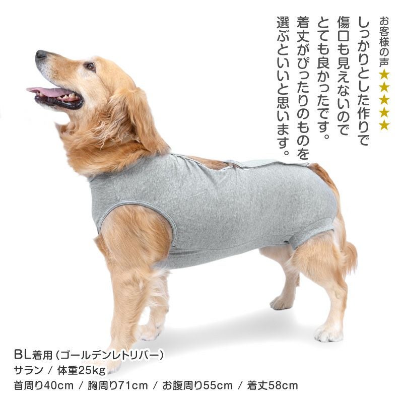 F.ベア天竺術後服エリザベスウエア(R)(女の子/大型犬用/伸縮性素材)