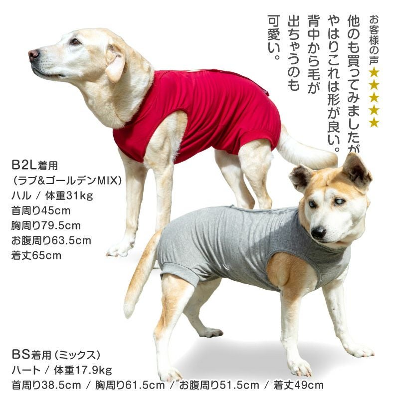 大型犬用 伸びて 着せやすい F. ベア天竺 術後服 エリザベスウエア(R