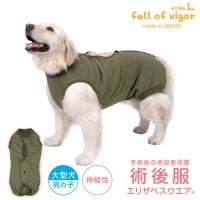 F.ベア天竺術後服エリザベスウエア(R)(男の子/大型犬用/伸縮性素材)
