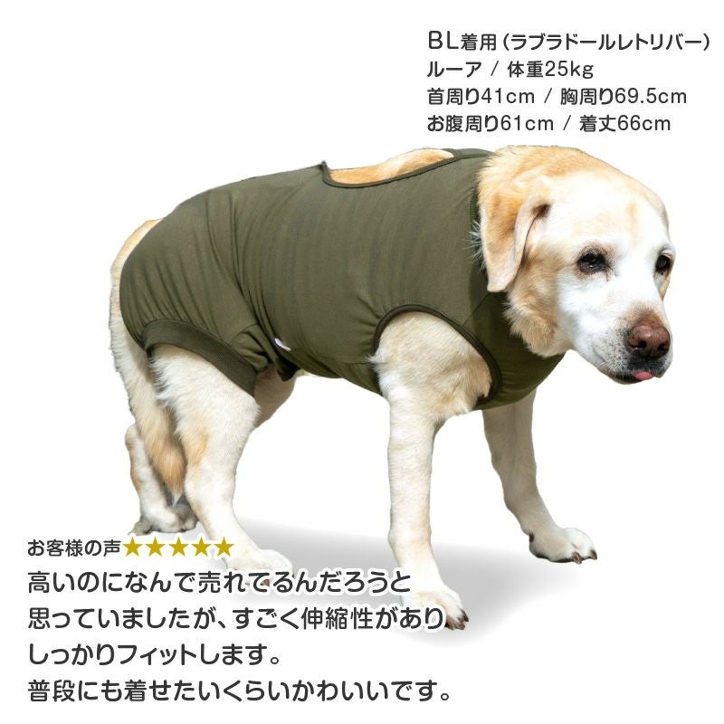 大型犬用 伸びて 着せやすい F. ベア天竺 術後服 エリザベスウエア(R