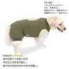 F.ベア天竺術後服エリザベスウエア(R)(男の子/大型犬用/伸縮性素材)
