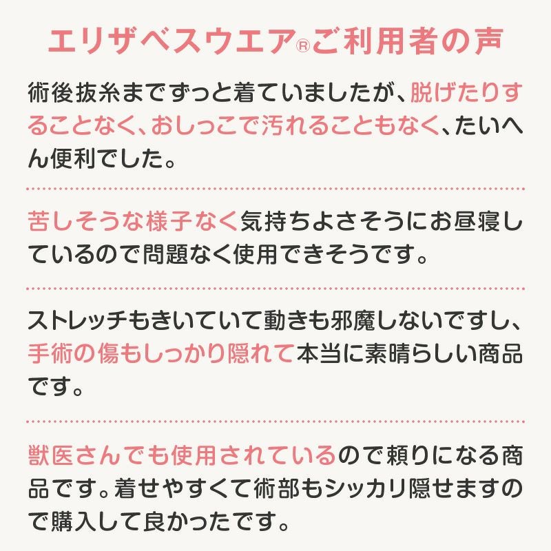 F.ベア天竺術後服エリザベスウエア(R)(男の子/大型犬用/伸縮性素材)