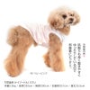 パイルボーダーお部屋着タンク(ダックス・小型犬用)