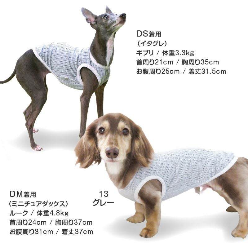 シンプルメッシュタンク(ダックス・小型犬用)