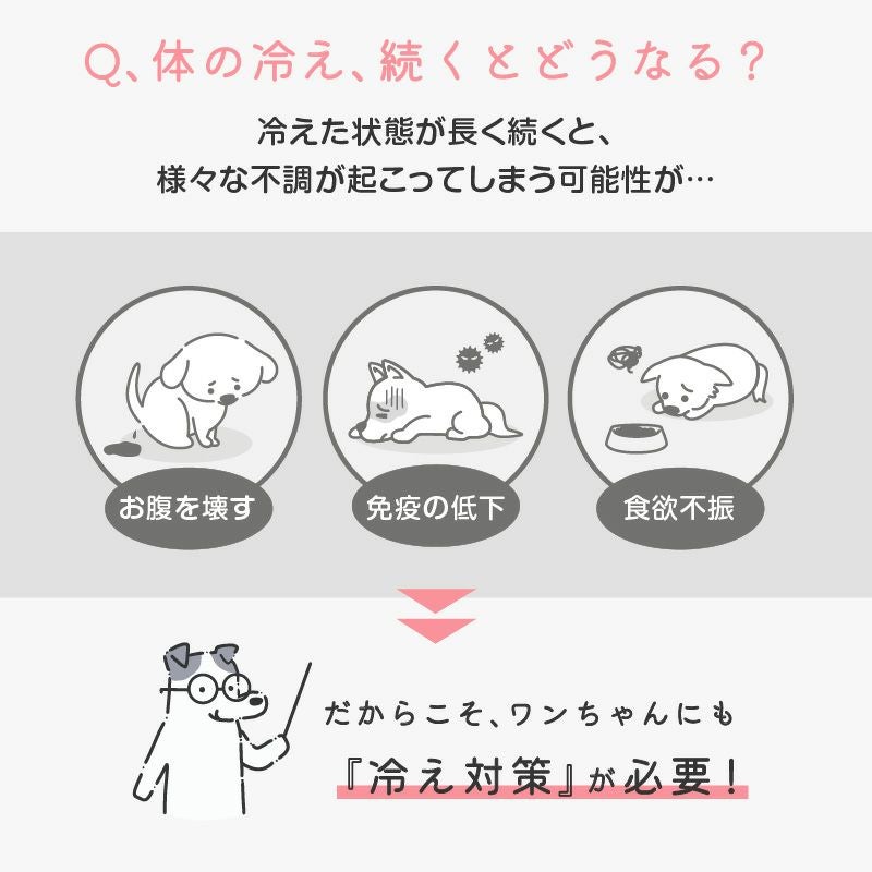 温度調整機能素材の腹巻き! シンプルぽんぽんウエア(R)(2023モデル)