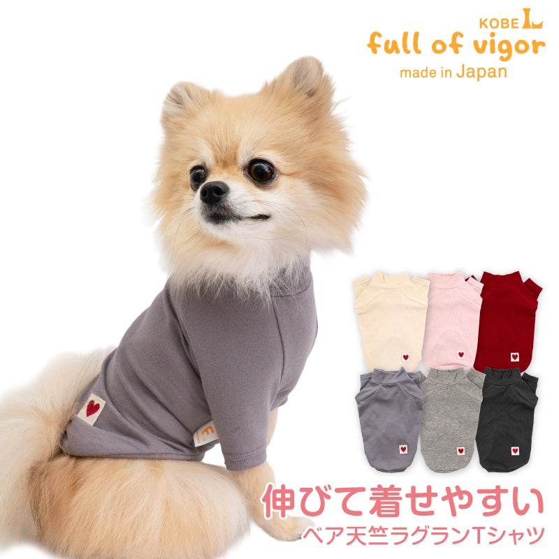 ベア天竺ラグランTシャツ(ダックス・小型犬用)	