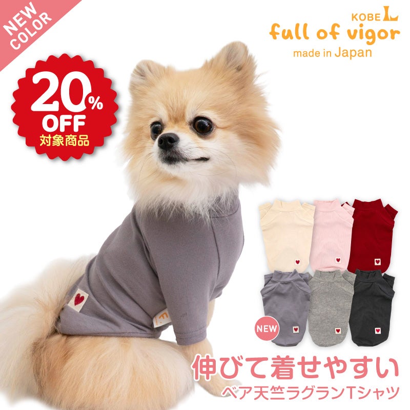 ベア天竺ラグランTシャツ(ダックス・小型犬用)	