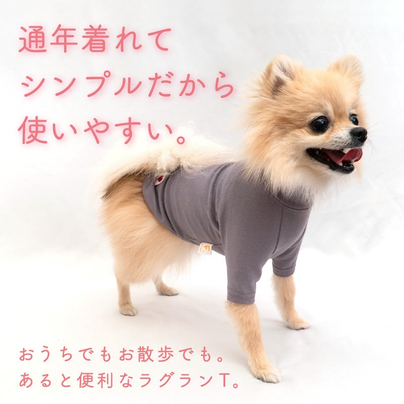 ベア天竺ラグランTシャツ(ダックス・小型犬用)	