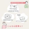 ベア天竺ラグランTシャツ(ダックス・小型犬用)	