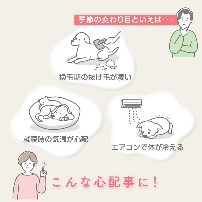 ベア天竺ラグランTシャツ(ダックス・小型犬用)	