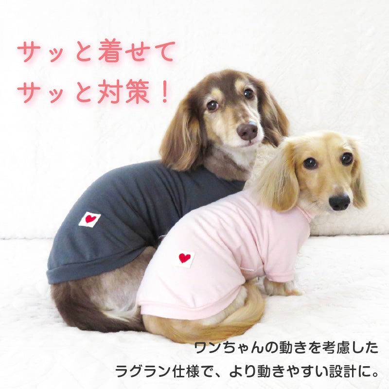 ベア天竺ラグランTシャツ(ダックス・小型犬用)	