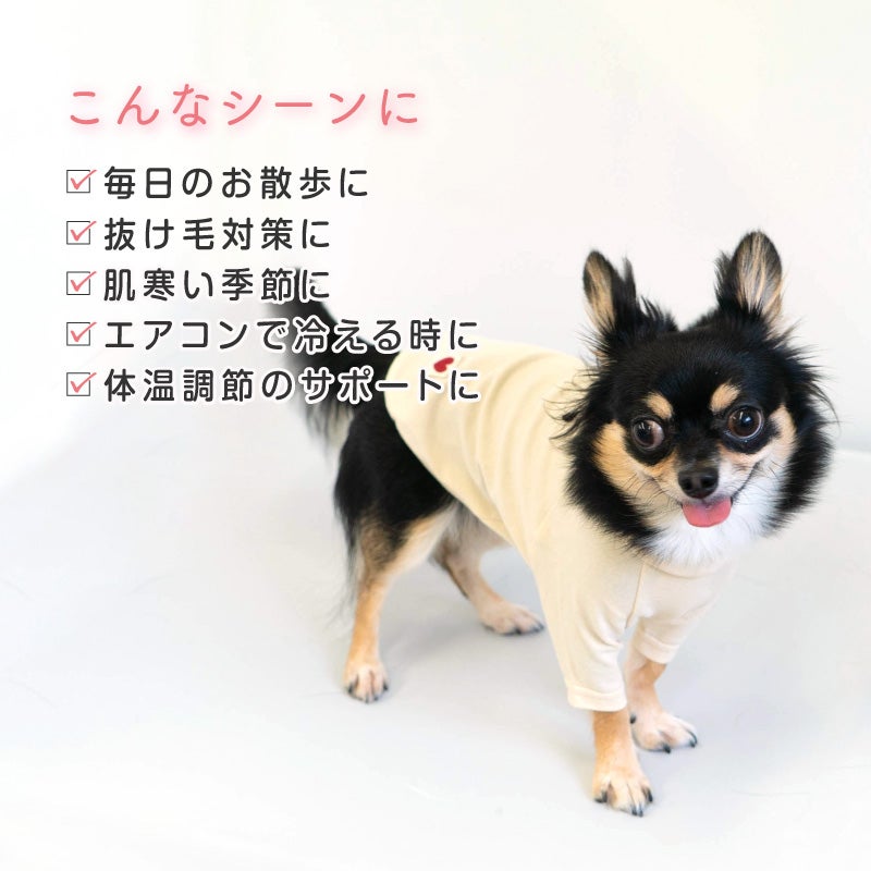 ベア天竺ラグランTシャツ(ダックス・小型犬用)	