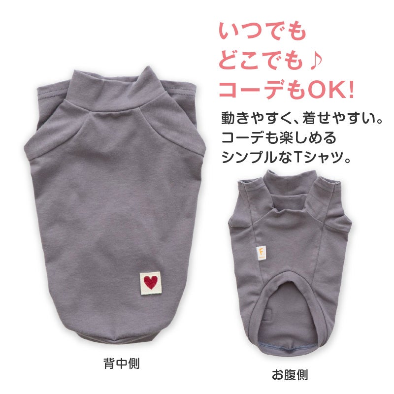 ベア天竺ラグランTシャツ(ダックス・小型犬用)	