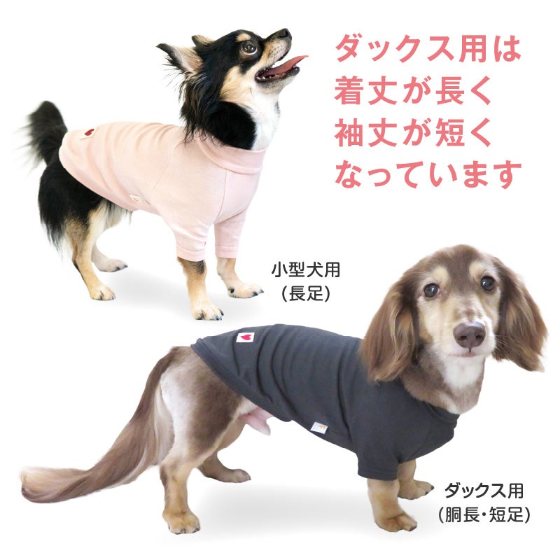 ベア天竺ラグランTシャツ(ダックス・小型犬用)	