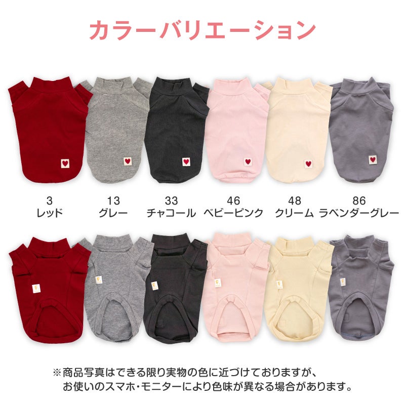 ベア天竺ラグランTシャツ(ダックス・小型犬用)	