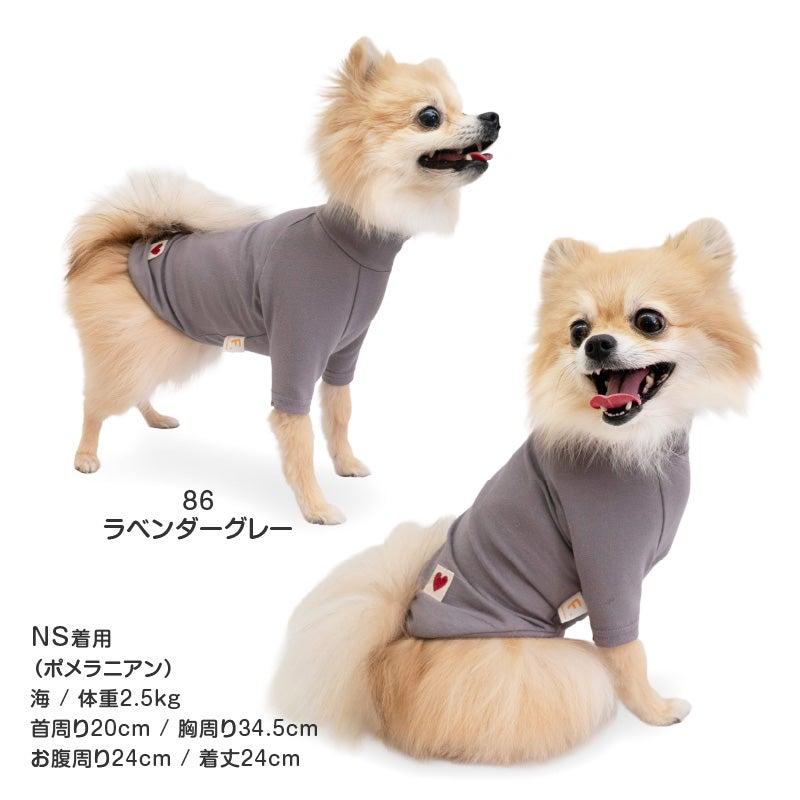 ベア天竺ラグランTシャツ(ダックス・小型犬用)	