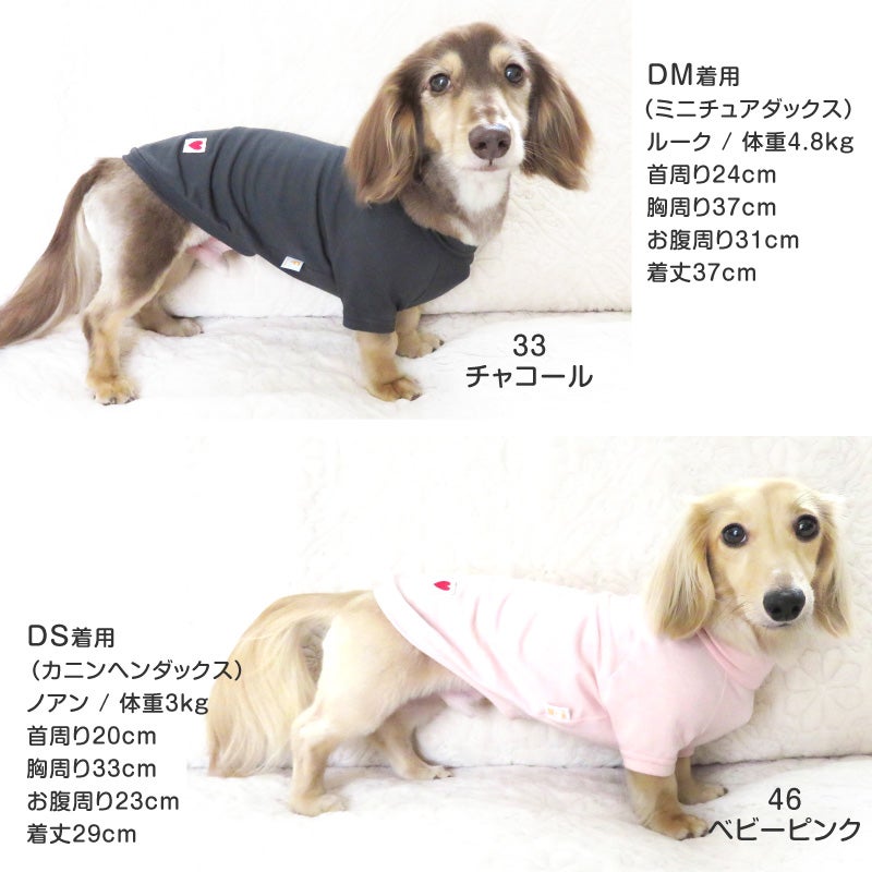 ベア天竺ラグランTシャツ(ダックス・小型犬用)	