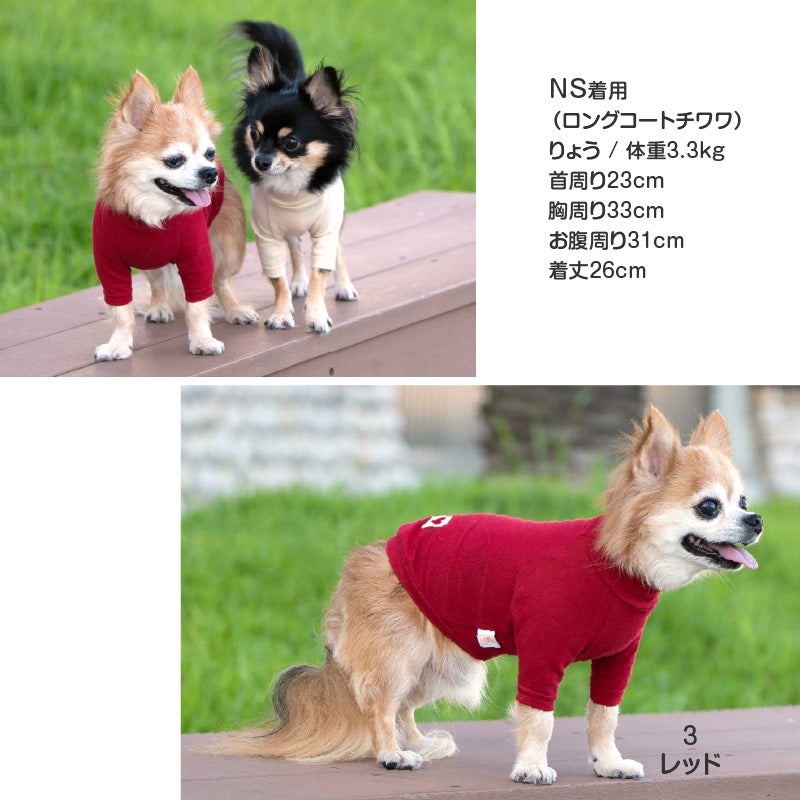 ベア天竺ラグランTシャツ(ダックス・小型犬用)	