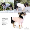 ベア天竺ラグランTシャツ(ダックス・小型犬用)	
