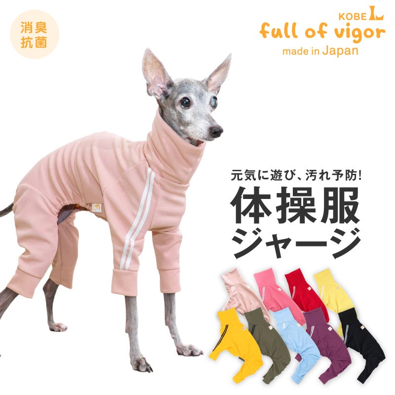 商品画像1