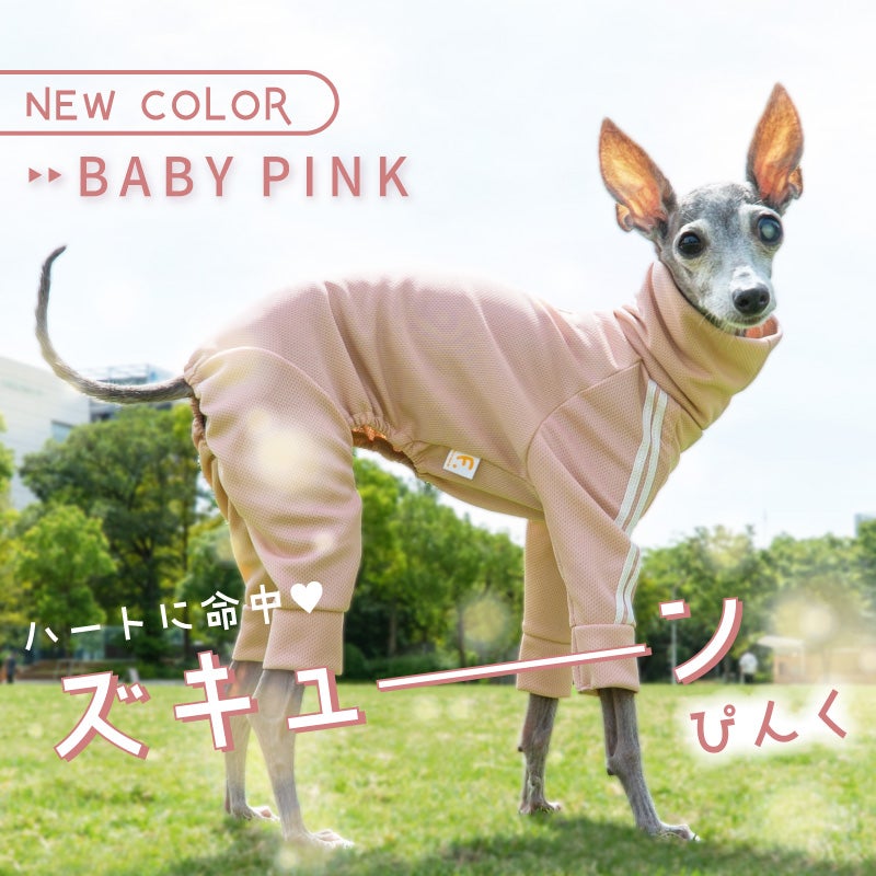 商品画像2