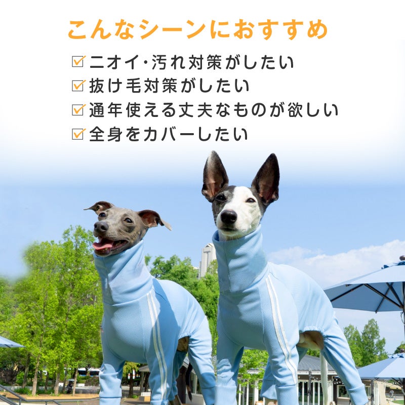 商品画像5