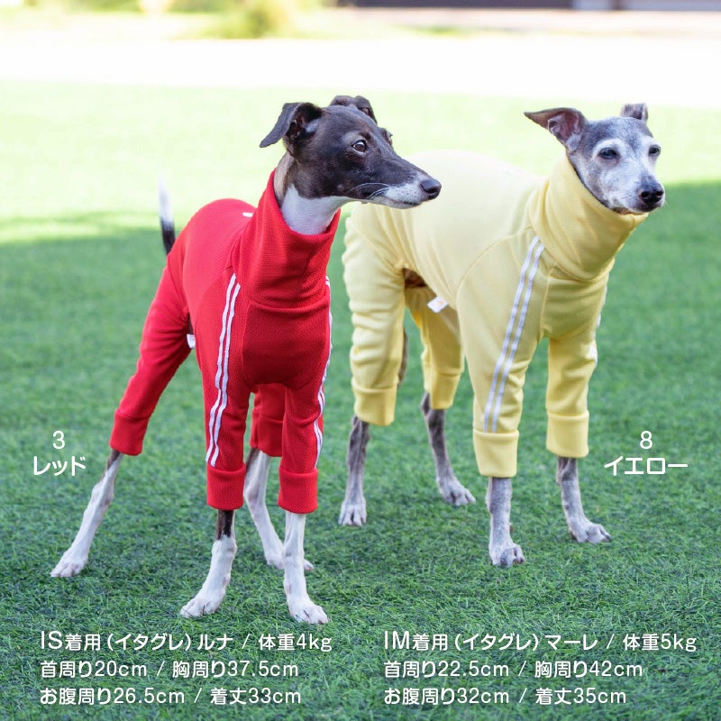 商品画像12