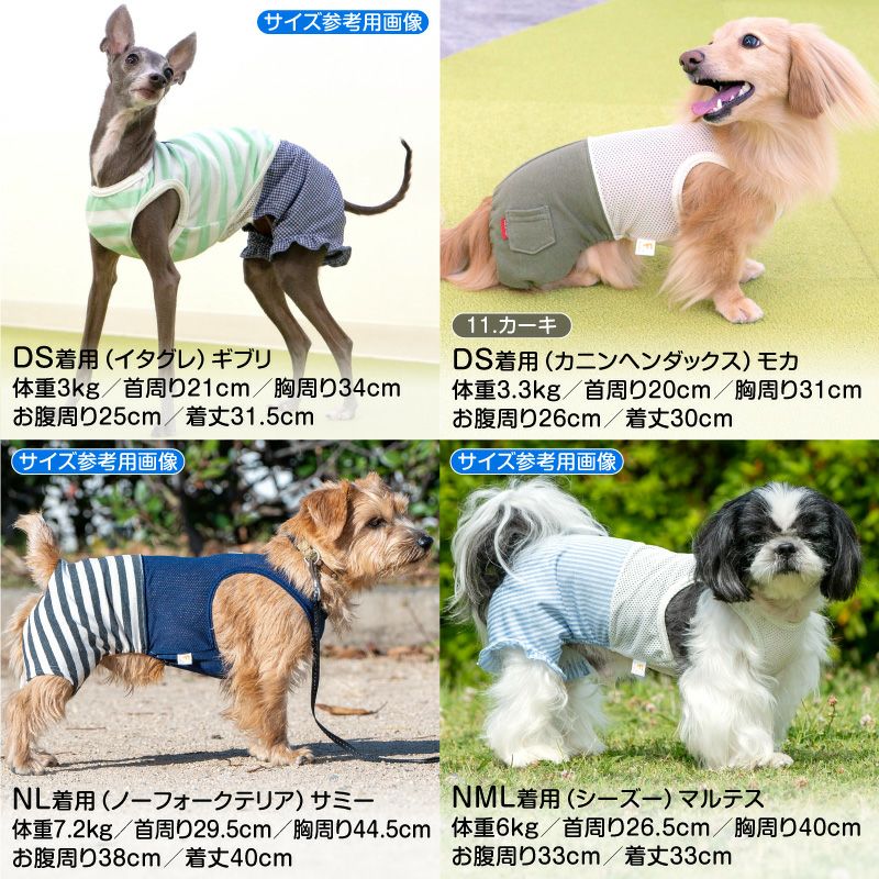 メッシュ インナー付 ミニ裏毛 ジョガーパンツ ダックス 小型犬用
