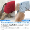 メッシュインナー付ミニ裏毛ジョガーパンツ(ダックス・小型犬用)