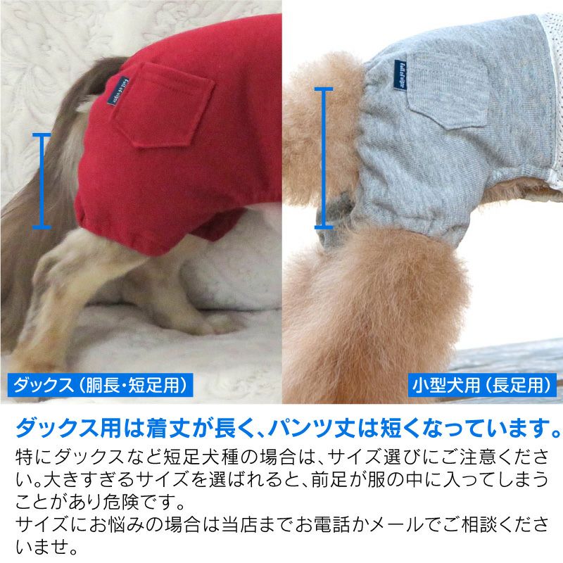 メッシュインナー付ミニ裏毛ジョガーパンツ(ダックス・小型犬用)