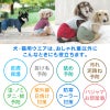 メッシュインナー付ミニ裏毛ジョガーパンツ(ダックス・小型犬用)