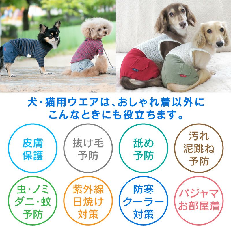 メッシュインナー付ミニ裏毛ジョガーパンツ(ダックス・小型犬用)