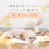 サイズ調整できるボアスリーパーつなぎ(ダックス・小型犬用)