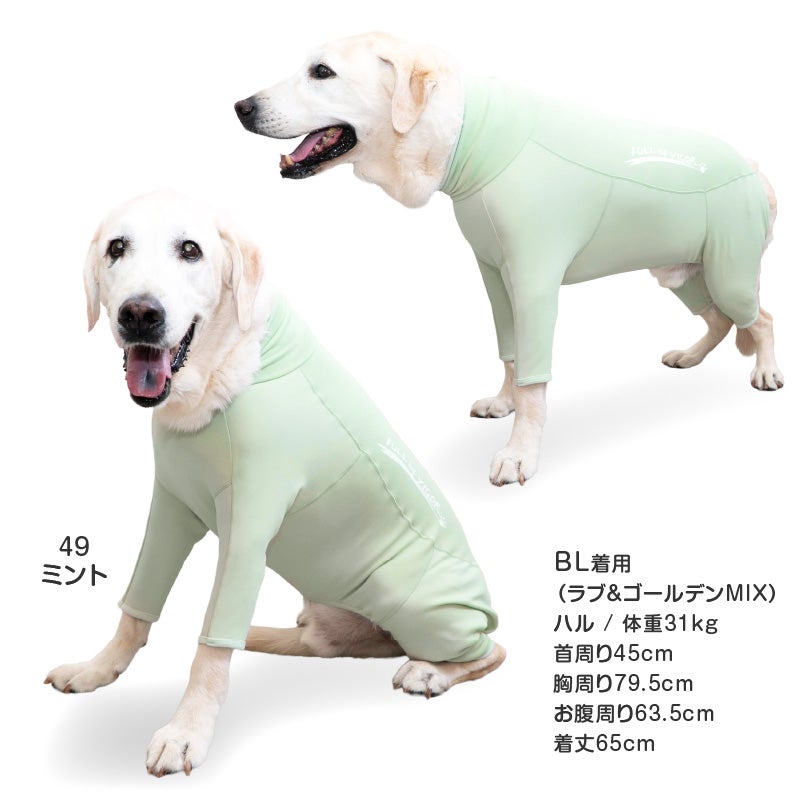 商品画像13