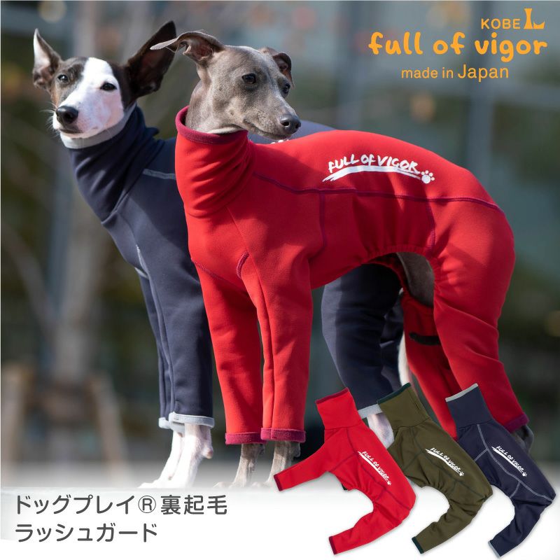★専用★　イタグレ　パグ　チワワ　セット MIXチワワ×イタグレ977 - 子犬や子猫たちのペット販売情報が満載