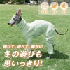 ドッグプレイ(R)裏起毛ラッシュガード(イタグレ用)
