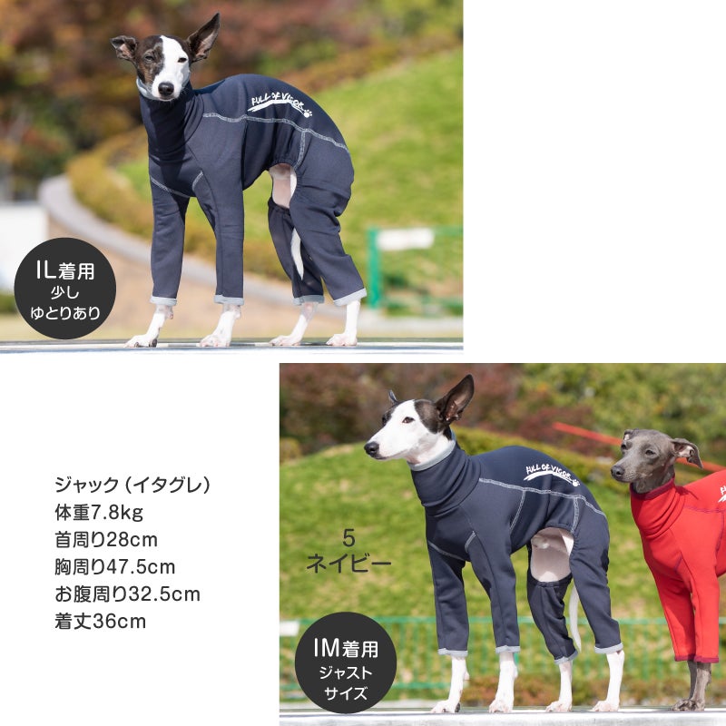 ドッグプレイ(R)裏起毛ラッシュガード(イタグレ用)