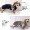 ふわもこボア袖なしフードつなぎ(ダックス・小型犬用)