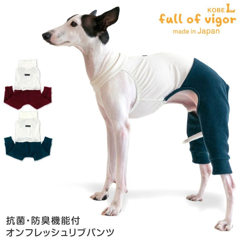 イタグレ用 抗菌 防臭 機能付 オンフレッシュ リブ パンツ | ダックス