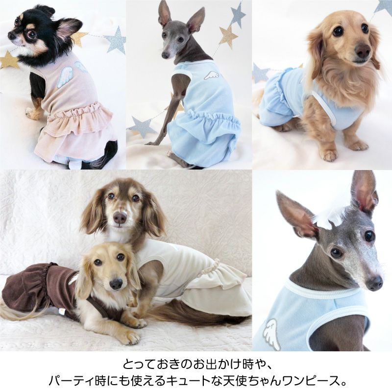 天使ちゃん 刺しゅう ベロア フリル ワンピース ダックス 小型犬用