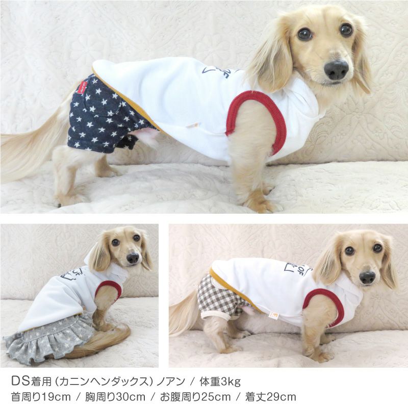 配色 リブ ダンボールニット パーカー ダックス 小型犬用 | ダックス